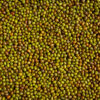 lentilles vertes - Image de jcomp sur Freepik